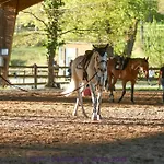 Seringa - Maison En Pleine Campagne - 5 Minutes Centre Equestre 巴巴斯特