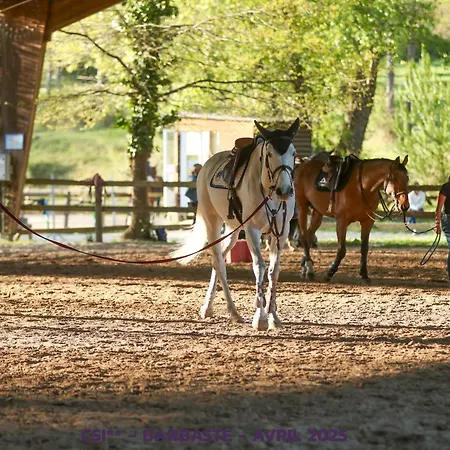Seringa - Maison En Pleine Campagne - 5 Minutes Centre Equestre Barbaste